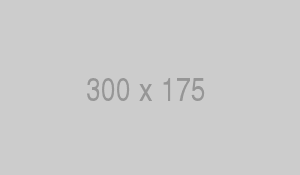 100 Bit Dice